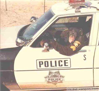 police chimp